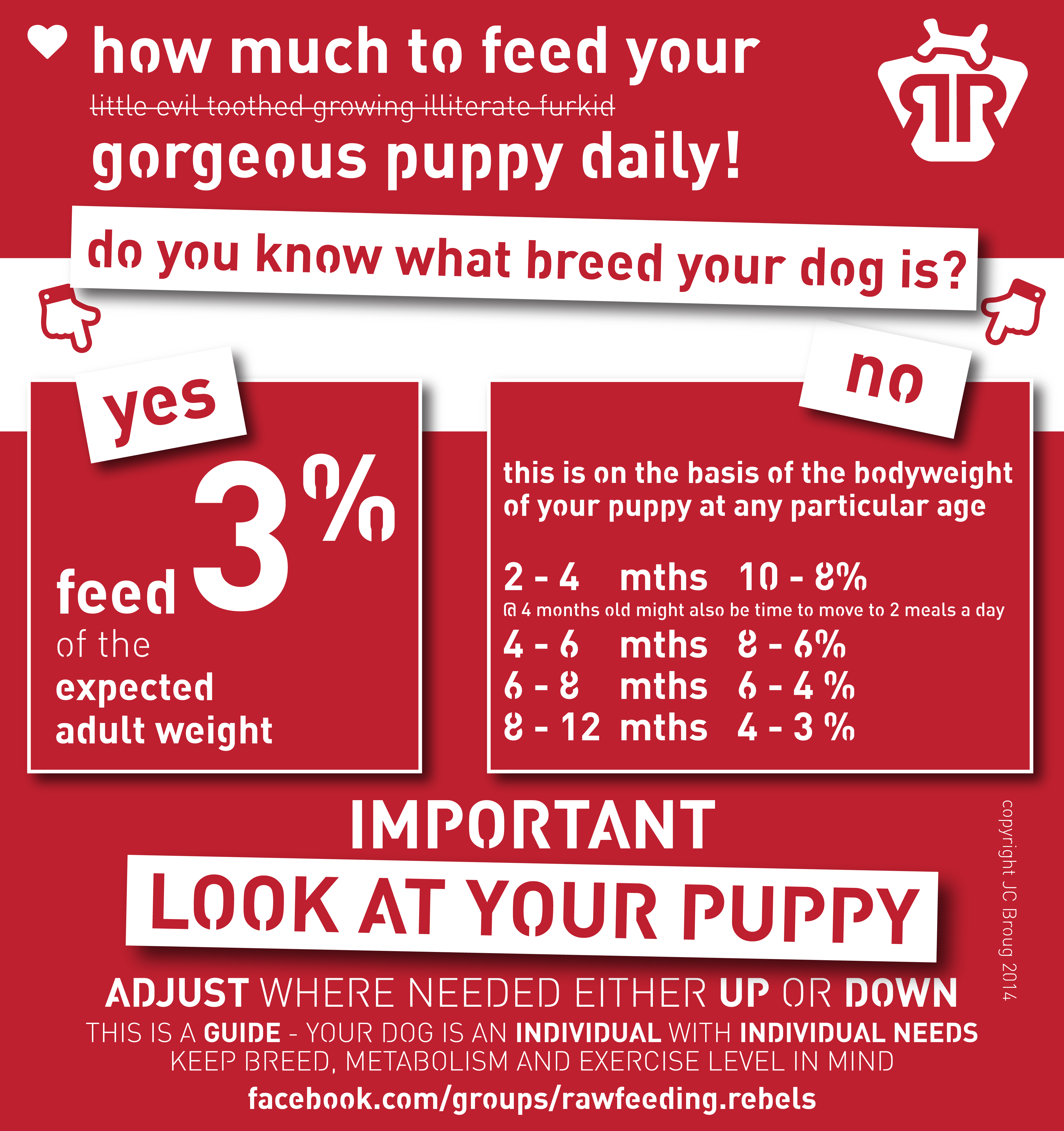 Raw Food Puppy Feeding Chart