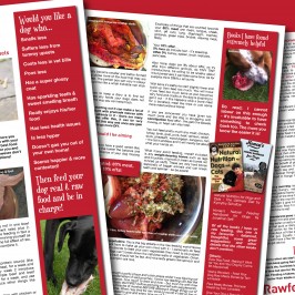 Raw feeding Dogs – Starter Guide