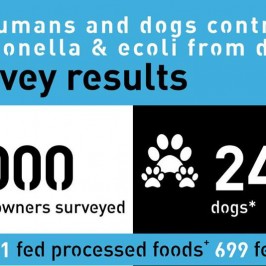 Can you get Salmonella & E.coli from raw dog food?