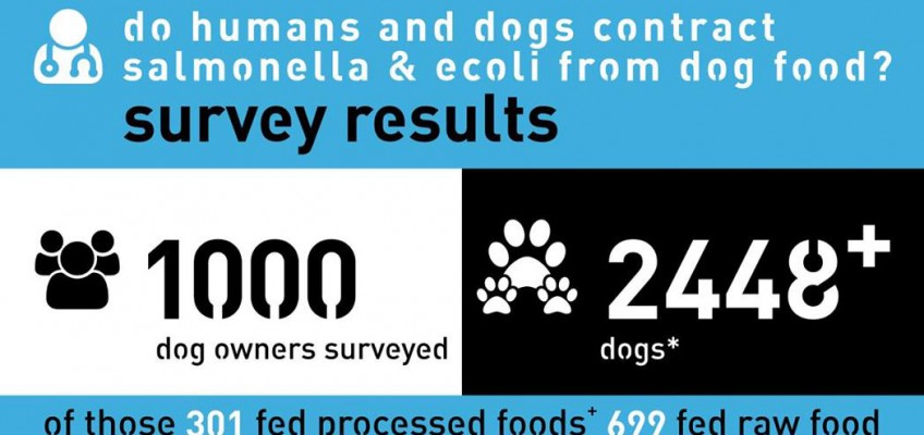 Can you get Salmonella & E.coli from raw dog food?