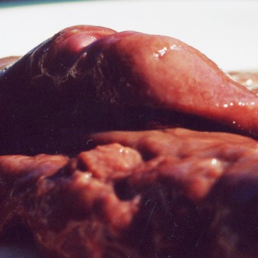 Top Tips for winning the Awful Offal Wars!
